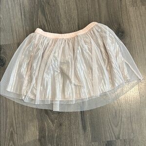 Shimmering Tulle Skirt